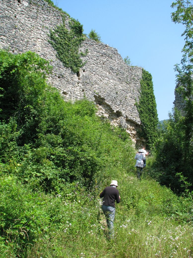 Stari grad Kamičak, historijsko područje